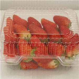 食品(pin)吸塑包裝應(ying)用